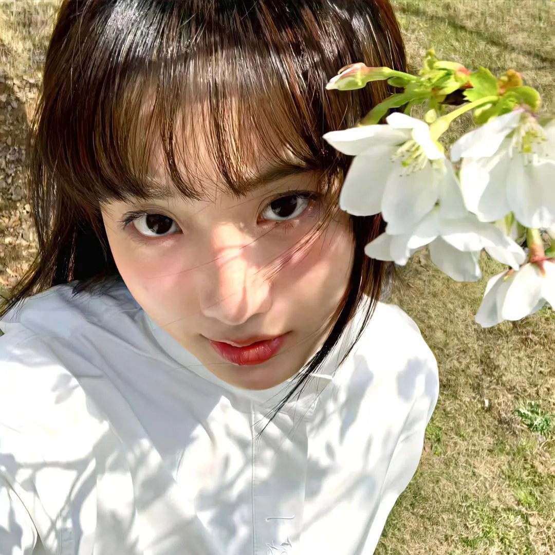 新乌龙女校2 在线观看
